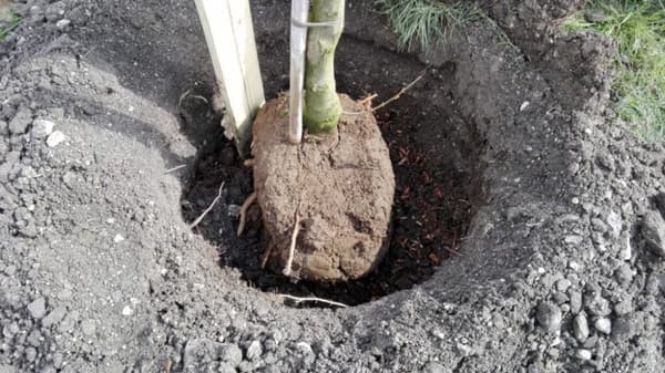 Hydrosoil Naturgødningspinde 4 kg