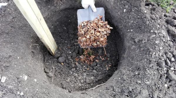 Hydrosoil Naturgødningspinde 4 kg