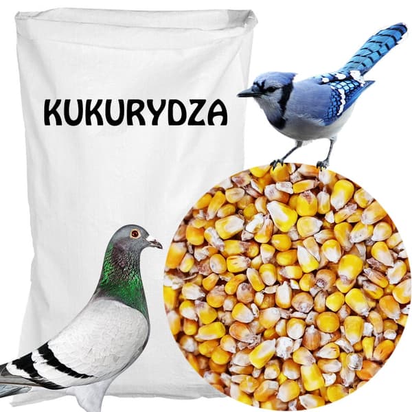 Keltainen maissiruoka lintujen ruoka 1 kg