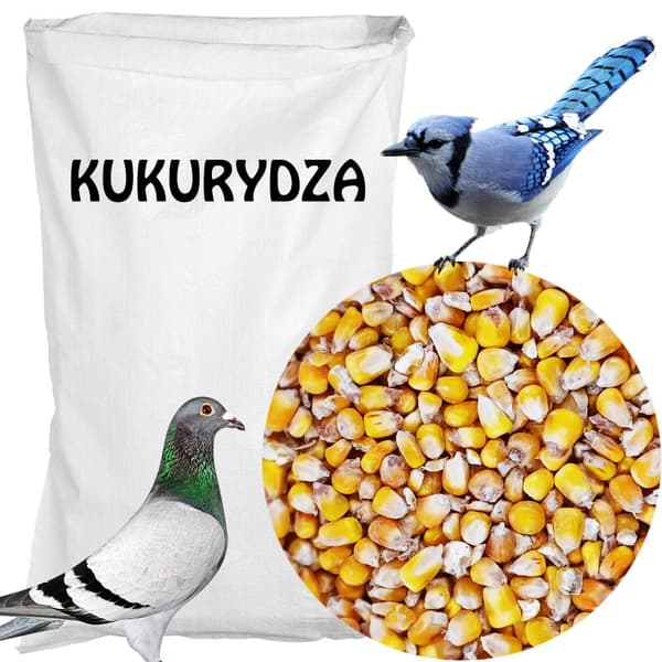 Keltainen maissiruoka lintujen ruoka 1 kg