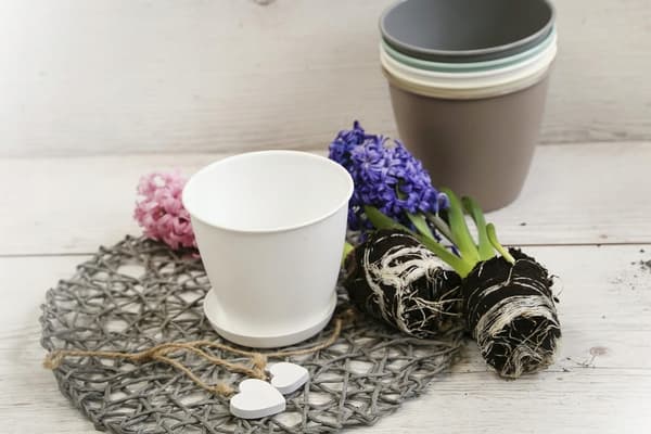 Grå plastik urtepotteunderkop Azalea 15,5 cm