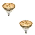 Miniatyrbillede 1 af 2: LED Vækstlys, Fuld Spektrum, Hydroponisk Lampe, 2PCS 100W