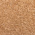 Miniatyrbilde 8 av 9: vidaXL Trappetrinnstepper 15 stk 65x21x4 cm beige