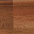 Miniatyrbild 7 av 8: vidaXL Trappstegsmattor självhäftande 15 st brun 65x21x4 cm