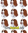 Miniatyrbild 2 av 2: Brodyrmärke Cavalier King Charles Spaniel