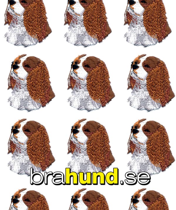 Brodyrmärke Cavalier King Charles Spaniel