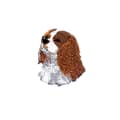 Miniatyrbild 1 av 2: Brodyrmärke Cavalier King Charles Spaniel