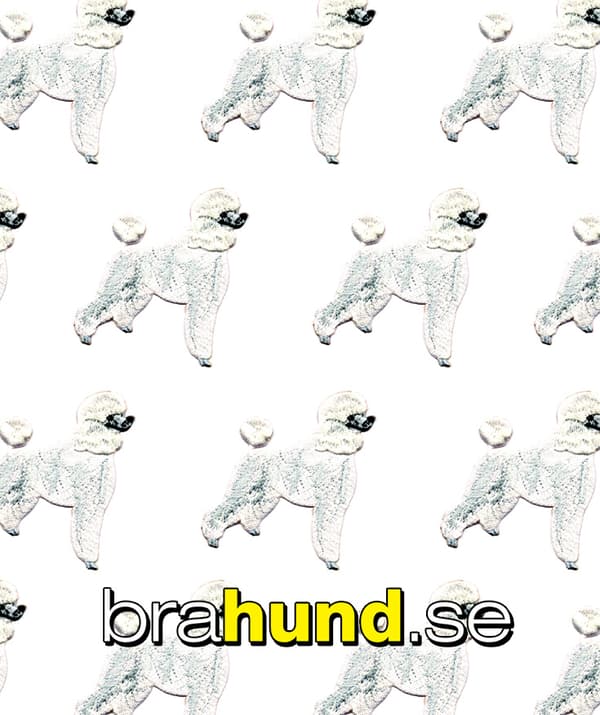 Brodyrmärke Pudel vit/Poodle, white