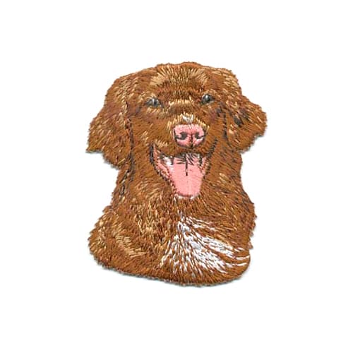 Brodyrmärke Tollare head - Nova Scotia Duck Tolling Retriver