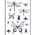 Miniatyrbild 1 av 2: Termoöverföring - Ki-Sign - Insekter - A4 - Enkelt att applicera - Hot fix