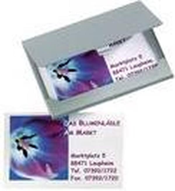 visitkortsfodral Sigel matt silver SI-VZ135