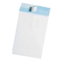 PLEATED VSD BAG,B4,OFW/BL (51645)