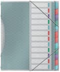 Pikkukuva 1 / 6: Esselte Colour'Ice kansio, A4, 12 lokeroa, PP, monivärinen, 626256