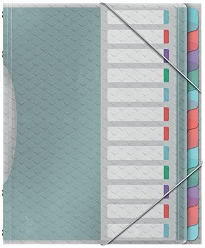 Esselte Colour'Ice folder, A4, 12 fack, PP, flerfärgad, 626256