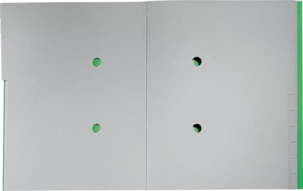 Leitz 39150055 Skillepap Grøn 1 stk (39150055)