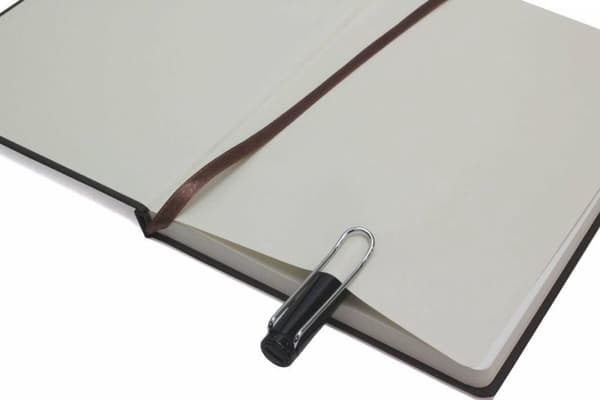 Penna med flytande bläck Lamy Safari Svart Blå