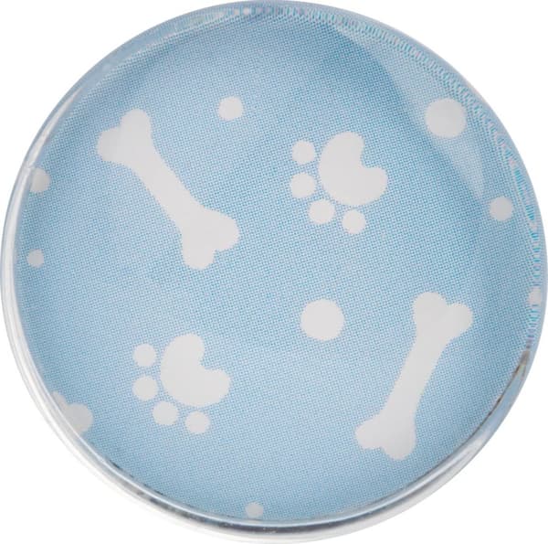 Glasmagneter 6 stk Cat&Dog Happy Color
