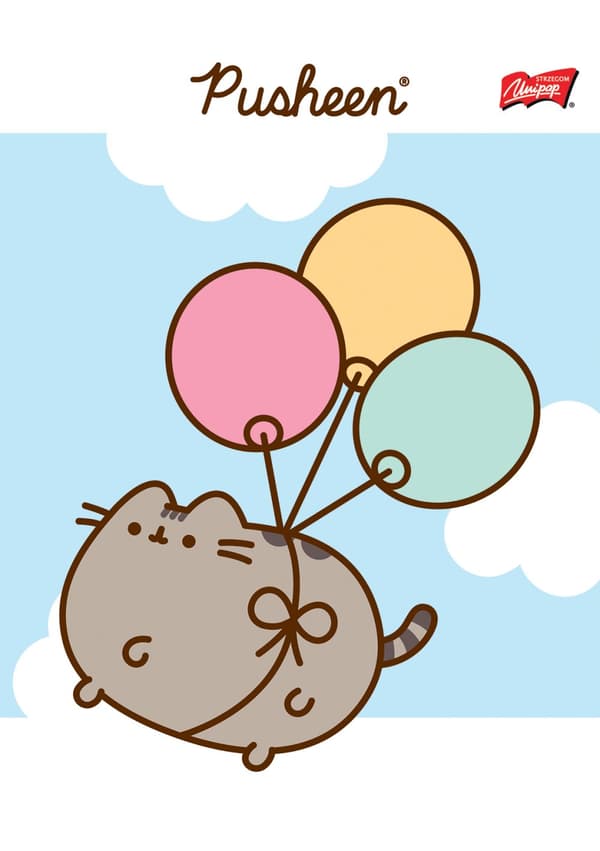 Notebook A5 32k tofarvet smal linje Pusheen Majewski