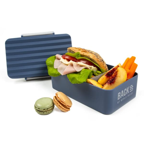 Blue Lunch Box C58 Backup