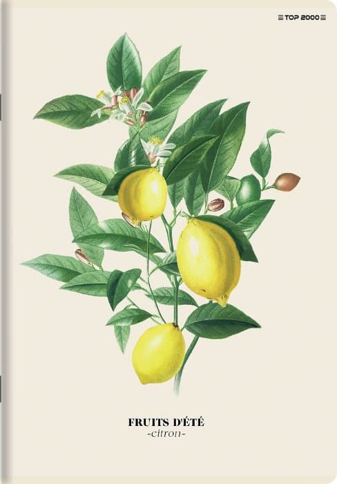 A4 notesbog 60k kvadratisk Summer Fruits Top2000 Frugter