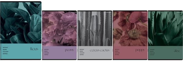 A5 notesbog 96k gitter Botany Plants Top2000