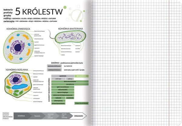 A5 notesbog 60k gitter tematisk biologi med snydeark Top2000