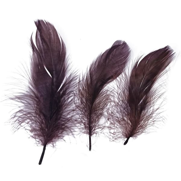 Dekorative fjer brune 16g, 5-12 cm Titanum Craft-Fun Series