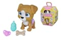 Miniatyrbilde 1 av 7: Pamper Petz Hund