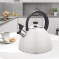 Miniatyrbillede 2 af 6: Kedel Feel Maestro MR-1302-WG