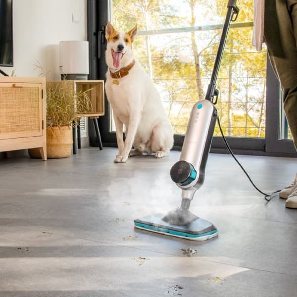 Cecotec Cecotec upright steam cleaner HydroSteam 3030 Active. Cleans and disinfects for a perfect finish. 1500 W maximum power. 20-30 g/min steam flo