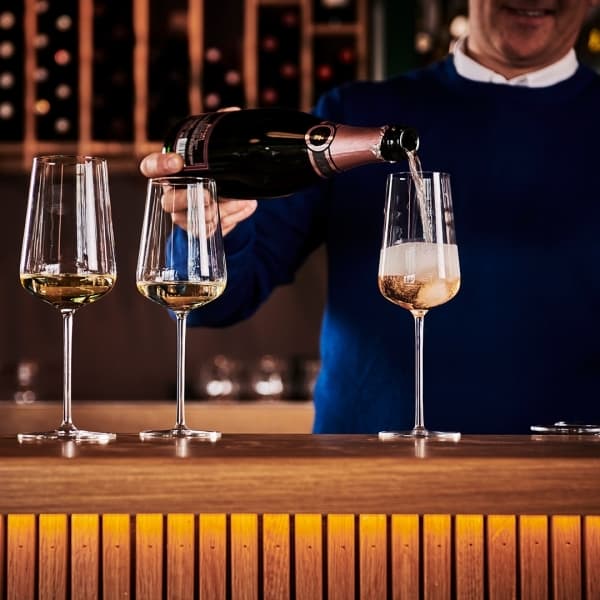 Vervino White Wine Glass 48cl, 2-pack - Zwiesel