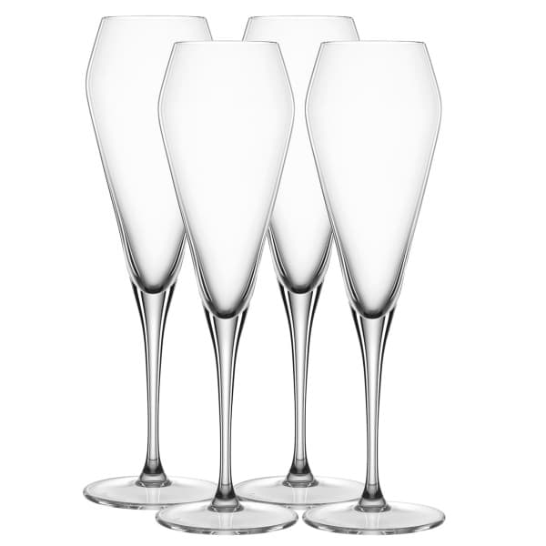 Willsberger Anniversary Champagne Glass 24cl, 4-pack - Spiegelau