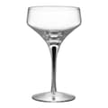 Miniatyrbillede 1 af 5: Metropol Champagne Glass Coupe, 24cl - Orrefors