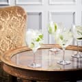 Miniatyrbild 3 av 5: More Gin & Tonicglas 64cl, 4-pack - Orrefors