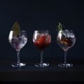Miniatyrbild 5 av 5: More Gin & Tonicglas 64cl, 4-pack - Orrefors