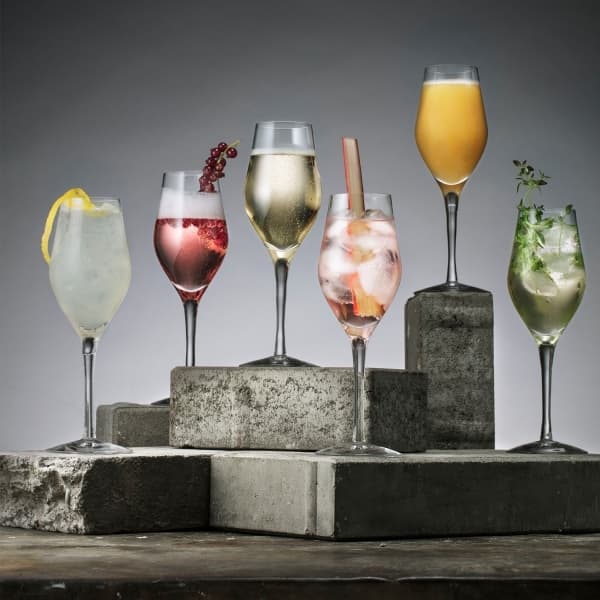 Sense Champagne Glass 25,5cl, 6-pack - Orrefors