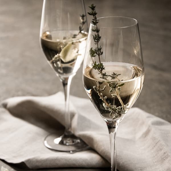 Sense Champagne Glass 25,5cl, 6-pack - Orrefors