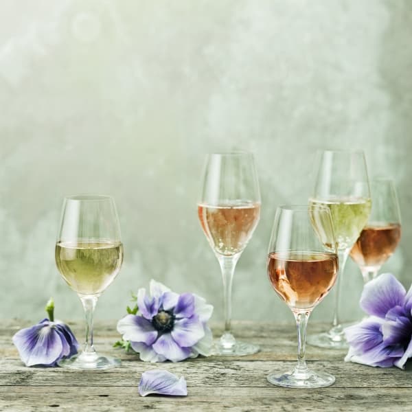 Sense Champagne Glass 25,5cl, 6-pack - Orrefors
