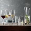 Miniatyrbild 4 av 5: LifeStyle Champagneglas 4-pack