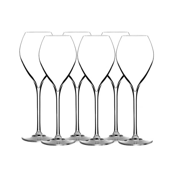 Signature Champagne Glass Premium 23cl, 6-pack - Lehmann