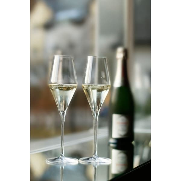 Quatrophil Champagne Glass 29cl, 2-pack - Stölzle