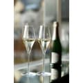 Pikkukuva 3 / 3: Quatrophil Champagne Glass 29cl, 2-pack - Stölzle