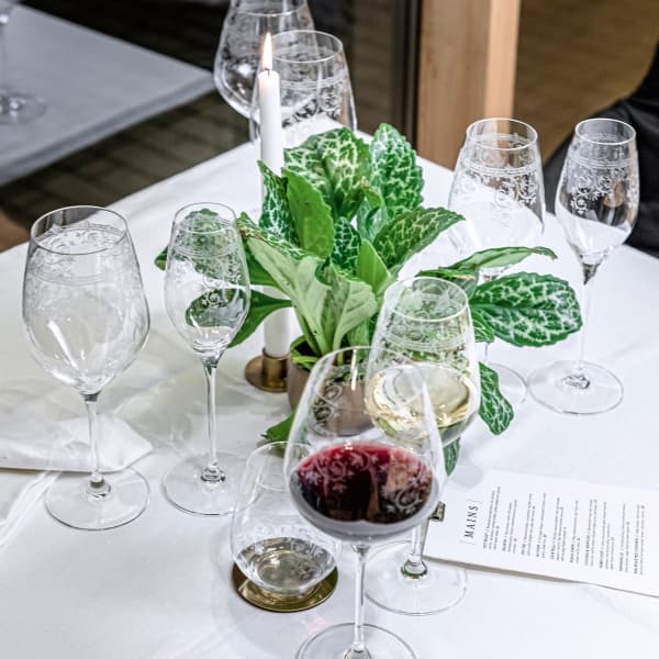Arabesque Vitvinsglas 50cl, 2-pack - Spiegelau