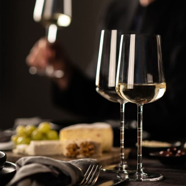 Journey White Wine Glass 45cl, 2-pack - Zwiesel