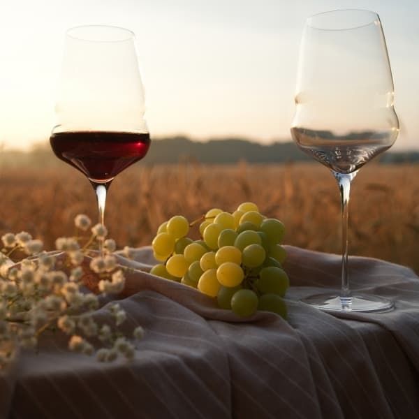 Cocoon Red Wine Glass 61cl, 6-pack - Stölzle