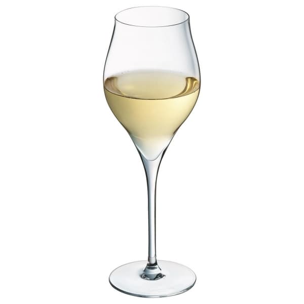 Exaltation Champagne Glass 30cl, 6-pack - Chef & Sommelier