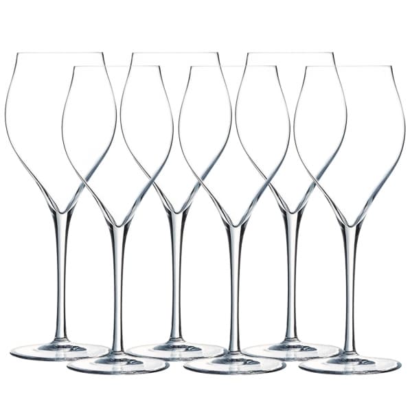 Exaltation Champagne Glass 30cl, 6-pack - Chef & Sommelier