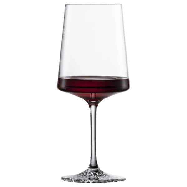 Echo Vinglas Allround 57cl, 4-pack - Zwiesel