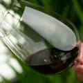 Miniatyrbild 3 av 3: Performance Vinglas - Cabernet/Merlot 84cl, 4-pack - Riedel