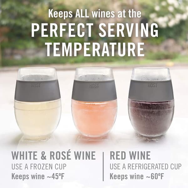 HOST Freeze Cooling Cup, Double Wall Insulated Freezer Chilling Tumbler with Gel, Glasses for Red and White Wine, 8.5 oz (250ml), Set of 2, Grey